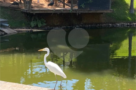 Sítio à venda com 3 suítes em Recreio Costa Verde, Itatiba, SP