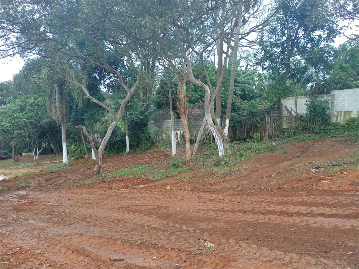 Terreno à venda em Vila Sol Nascente, Suzano, SP