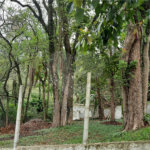 Terreno à venda em Serra da Cantareira, Mairiporã, SP