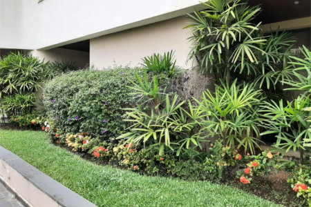 Apartamento à venda com 4 quartos, sendo 2 suítes,  em Jardim São Paulo(zona Norte), São Paulo, SP
