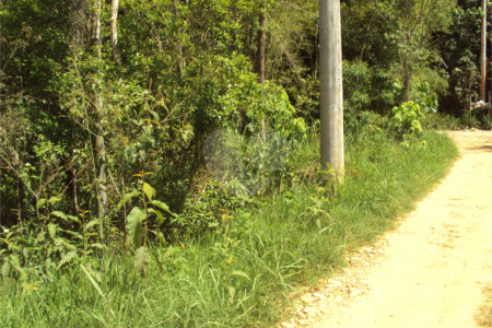Chácara à venda com 1 quarto em Cruz das Almas, Biritiba-mirim, SP