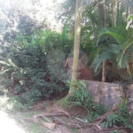 Terreno à venda em Tremembé, São Paulo, SP