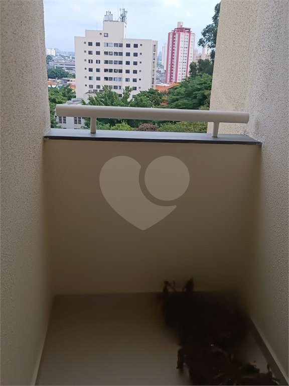Apartamento à venda com 3 quartos, sendo 1 suíte, em Casa Verde, São Paulo, SP