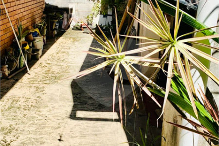 Casa Térrea à venda com 3 quartos, sendo 1 suíte, em Parque Ouro Fino, Sorocaba, SP