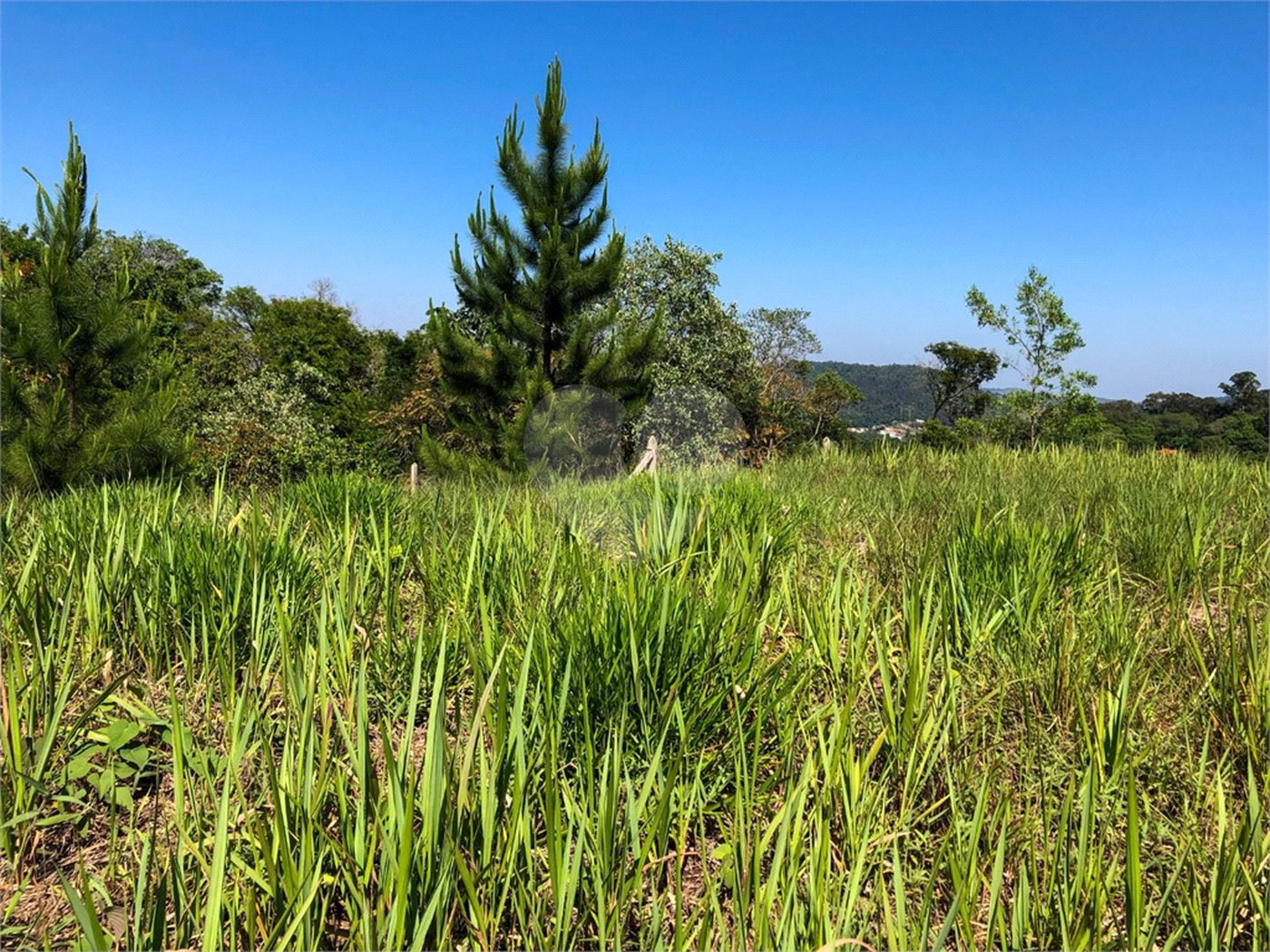 Terreno à venda em Bairro do Cambará, São Roque, SP