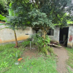 Chácara à venda com 3 quartos, sendo 1 suíte, em Cercadinho, Alambari, SP