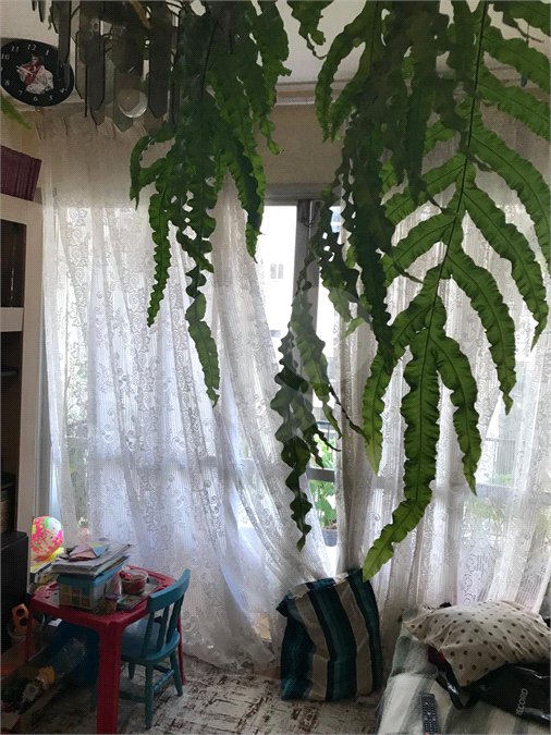 Apartamento para alugar com 3 quartos, sendo 1 suíte,  em Pinheiros, São Paulo, SP