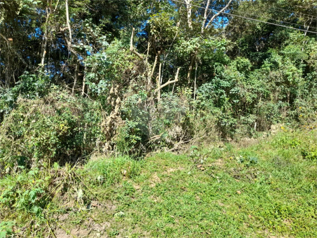 Terreno à venda em Roseira, Mairiporã, SP
