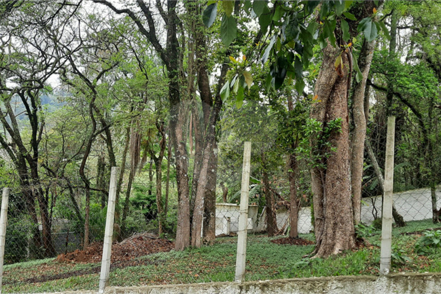 Casa à venda com 3 quartos, sendo 1 suíte,  em Serra da Cantareira, Mairiporã, SP