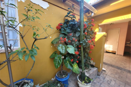 Sobrado à venda com 3 quartos, sendo 1 suíte, em Vila Hamburguesa, São Paulo, SP
