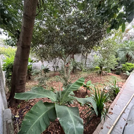 Casa à venda com 3 quartos em Parque Sonia, São Paulo, SP