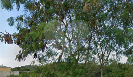 Terreno à venda em São José, Armação dos Búzios, RJ
