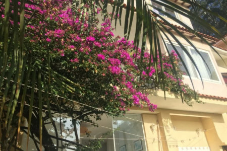 Casa à venda com 5 quartos, sendo 4 suítes, no condomínio Jardim Vitória Régia, São Paulo - SP