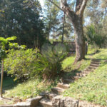 Sítio à venda em Chácara São João, Campo Limpo Paulista, SP