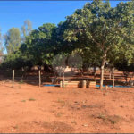 Chácara à venda com 6 quartos no Centro, Terenos, MS