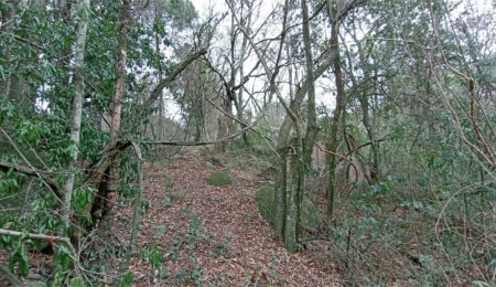 Terreno à venda em Chácaras Alpina, Valinhos, SP