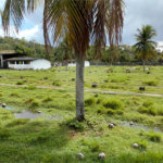Terreno à venda com 3 suítes em Bazílio, Rio Bonito, RJ