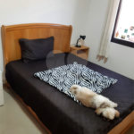 Sobrado à venda com 2 quartos em Casa Verde, São Paulo, SP