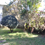 Casa à venda com 5 quartos, sendo 2 suítes, em Tremembé, São Paulo, SP