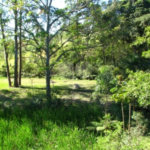 Sítio à venda com 3 quartos, sendo 1 suíte,  em Caputera, Mogi das Cruzes, SP