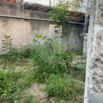 Sobrado à venda com 2 quartos em Santana, São Paulo, SP