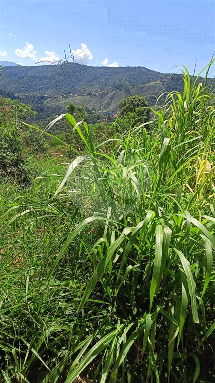 Terreno à venda em Luiz Fagundes, Mairiporã, SP