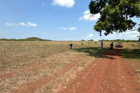 Fazenda à venda em Zona Rural, Balsas, MA