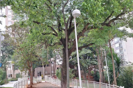 Apartamento à venda com 2 quartos em Jardim Esmeralda, São Paulo, SP
