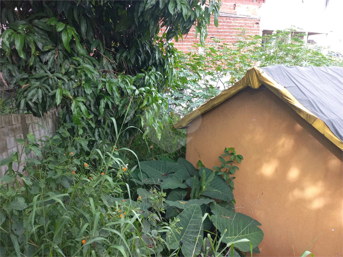 Terreno à venda em Tucuruvi, São Paulo, SP