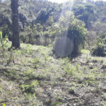 Chácara à venda com 6 quartos, sendo 3 suítes, em Paiol Velho, Vinhedo, SP