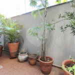 Apartamento à venda com 1 quarto em Bosque das Juritis, Ribeirão Preto, SP