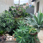 Casa à venda com 4 quartos em Vila Ipojuca, São Paulo, SP