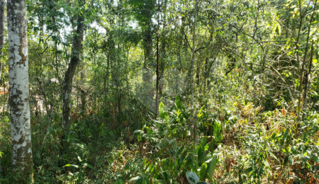 Terreno à venda no condomínio Residencial Cerros Verdes, Mairiporã - SP