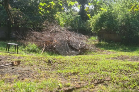 Terreno à venda em Jardim Patriarca, Ribeirão Preto, SP