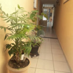Sobrado à venda com 3 quartos, sendo 1 suíte, em Parque Novo Mundo, São Paulo, SP