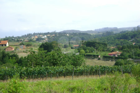 Área de Terra à venda em Colinas do Mosteiro de Itaici, Indaiatuba, SP
