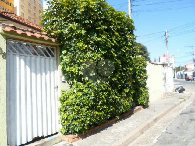 Terreno à venda em Vila Mazzei, São Paulo, SP