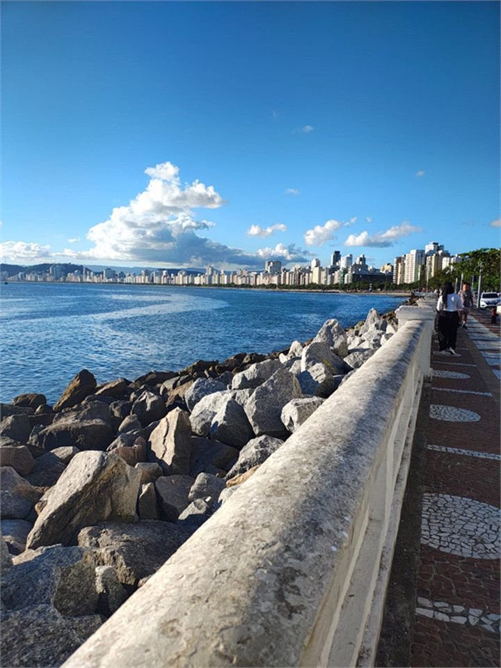 Apartamento Residencial à venda, Ponta da Praia, Santos - AP1192.
