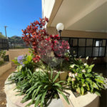 Apartamento à venda com 2 quartos, sendo 1 suíte, em Vila Gustavo, São Paulo, SP