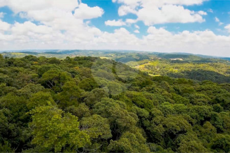 Terreno à venda em Gabriel Piza, São Roque, SP