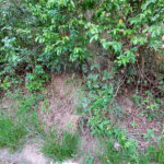 Terreno à venda no condomínio Sausalito, Mairiporã - SP