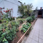 Sobrado à venda com 3 quartos, sendo 1 suíte, em Limão, São Paulo, SP