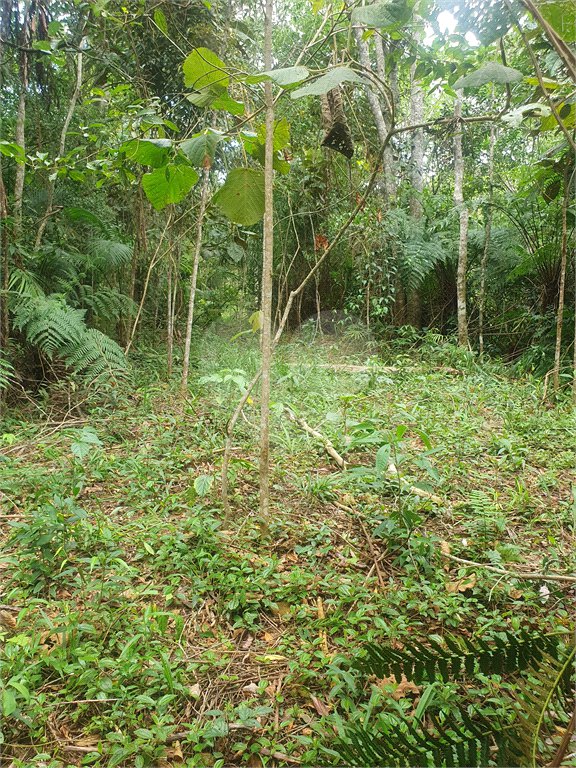Terreno à venda em Vila Moraes, Mogi das Cruzes, SP