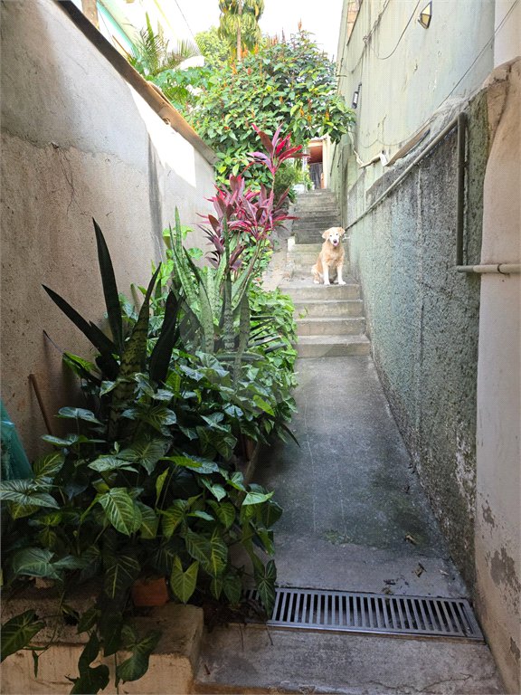 Terreno à venda com 3 quartos em Casa Verde, São Paulo, SP