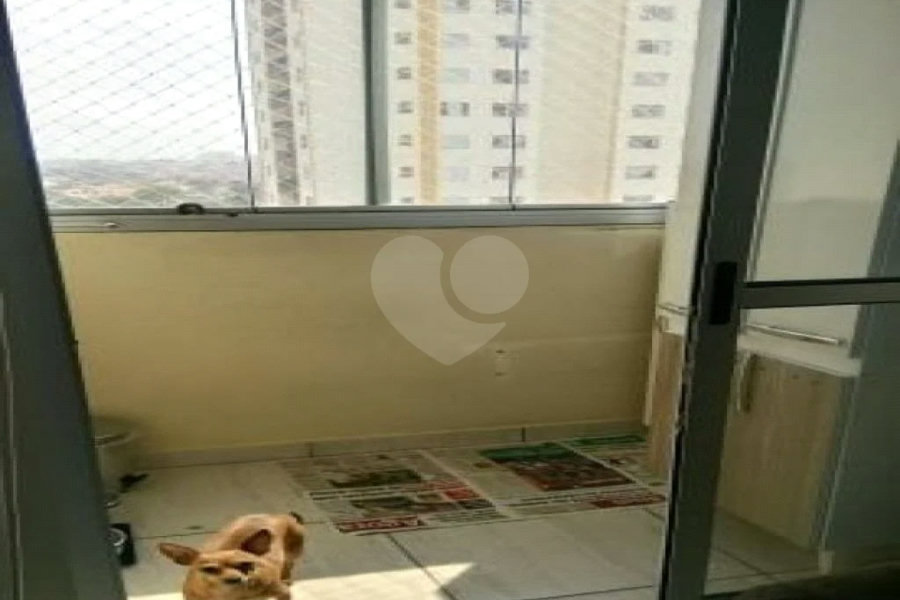 Excelente Apartamento de 02 dormitórios. Venha fazer uma Visita.