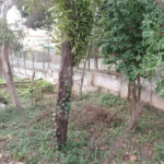 Terreno à venda em Chácara Inglesa (zona Norte), São Paulo, SP