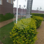 Apartamento à venda com 2 quartos, sendo 1 suíte, em Villa Di Cesar, Mogi das Cruzes, SP