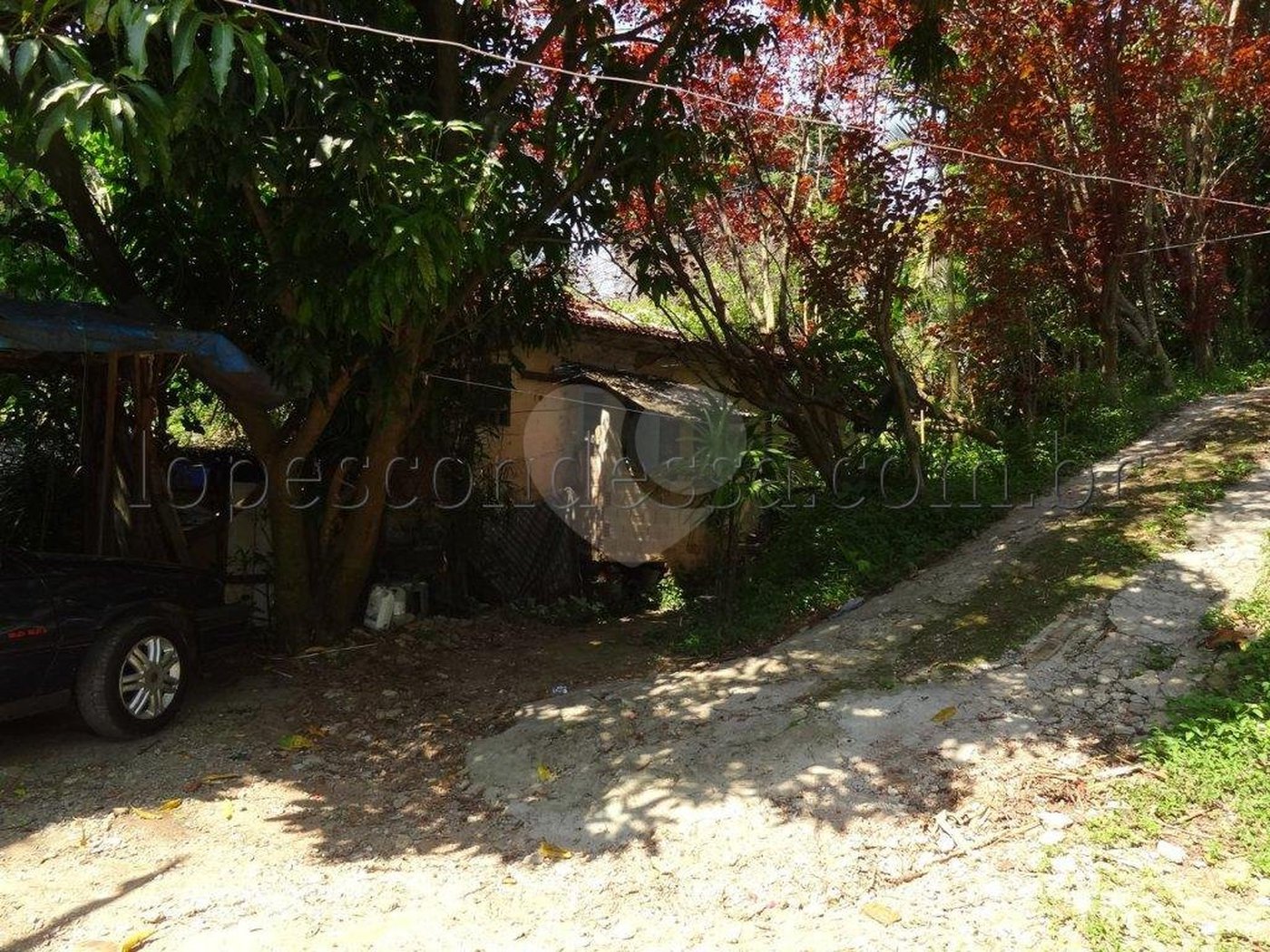Terreno à venda em Horto Florestal, São Paulo, SP