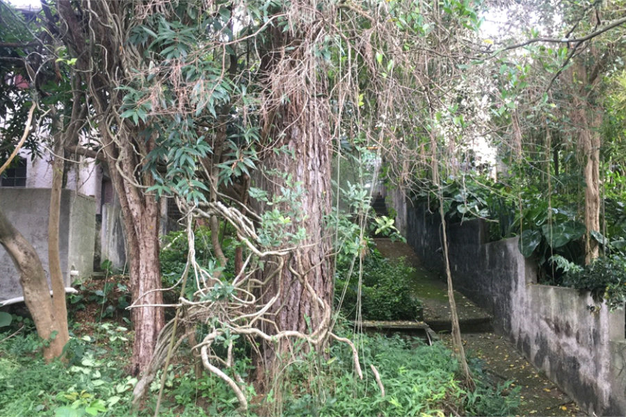 Terreno à venda ou para alugar em Horto, São Paulo, SP