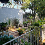 Casa à venda com 3 quartos em Jardim Bonfiglioli, São Paulo, SP